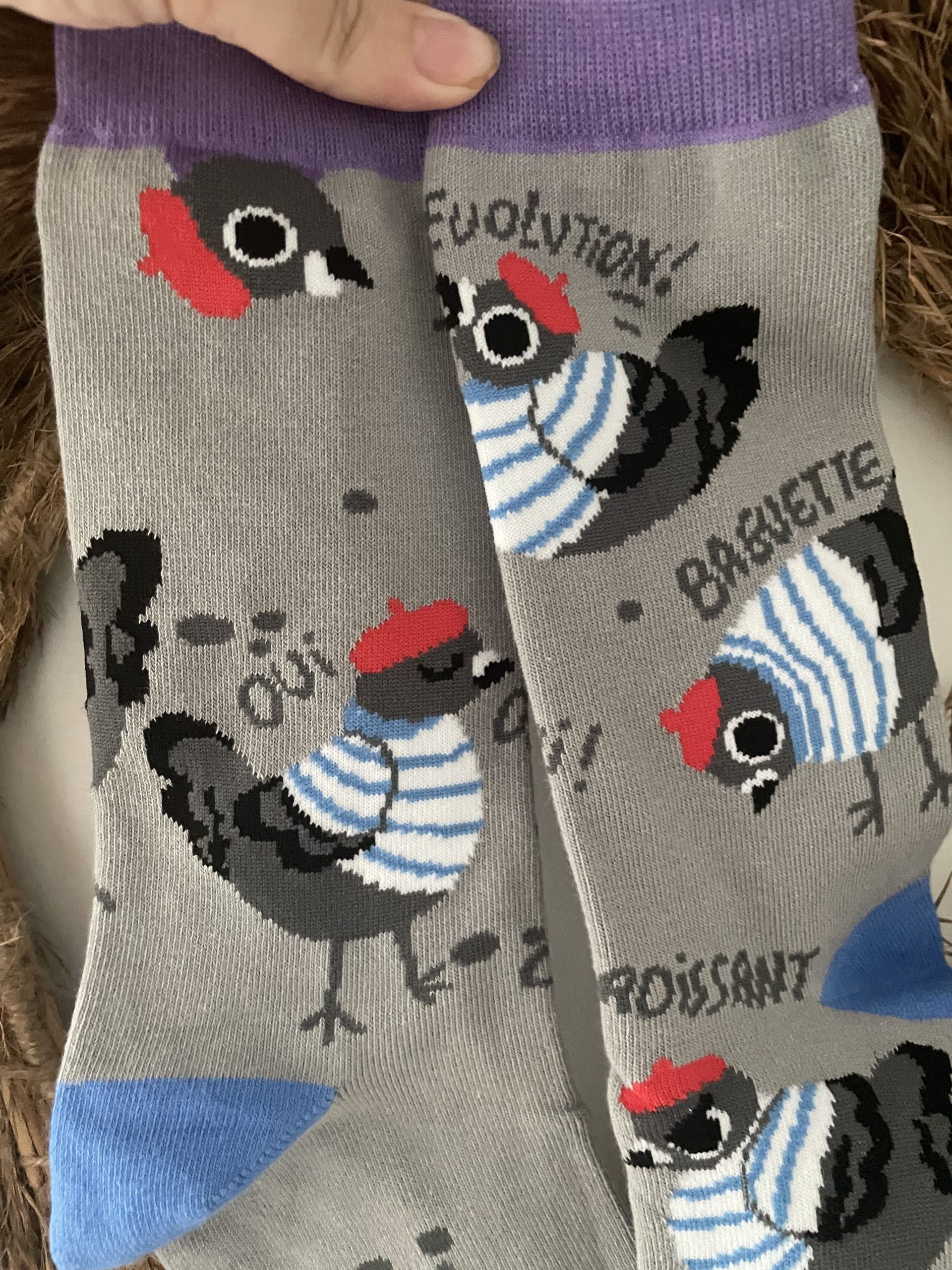 French Pigeons – Image 3