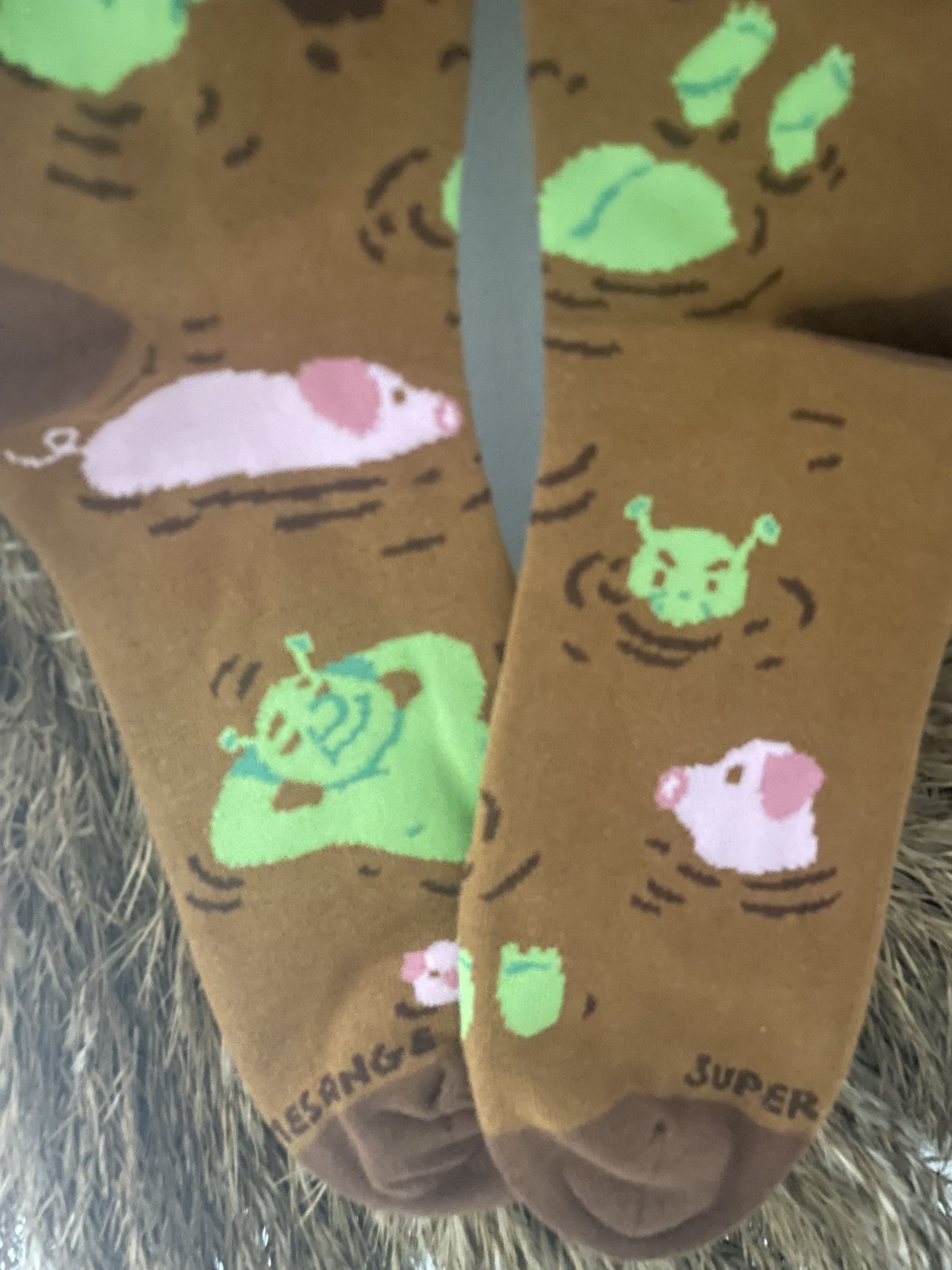 Shrek – Image 3