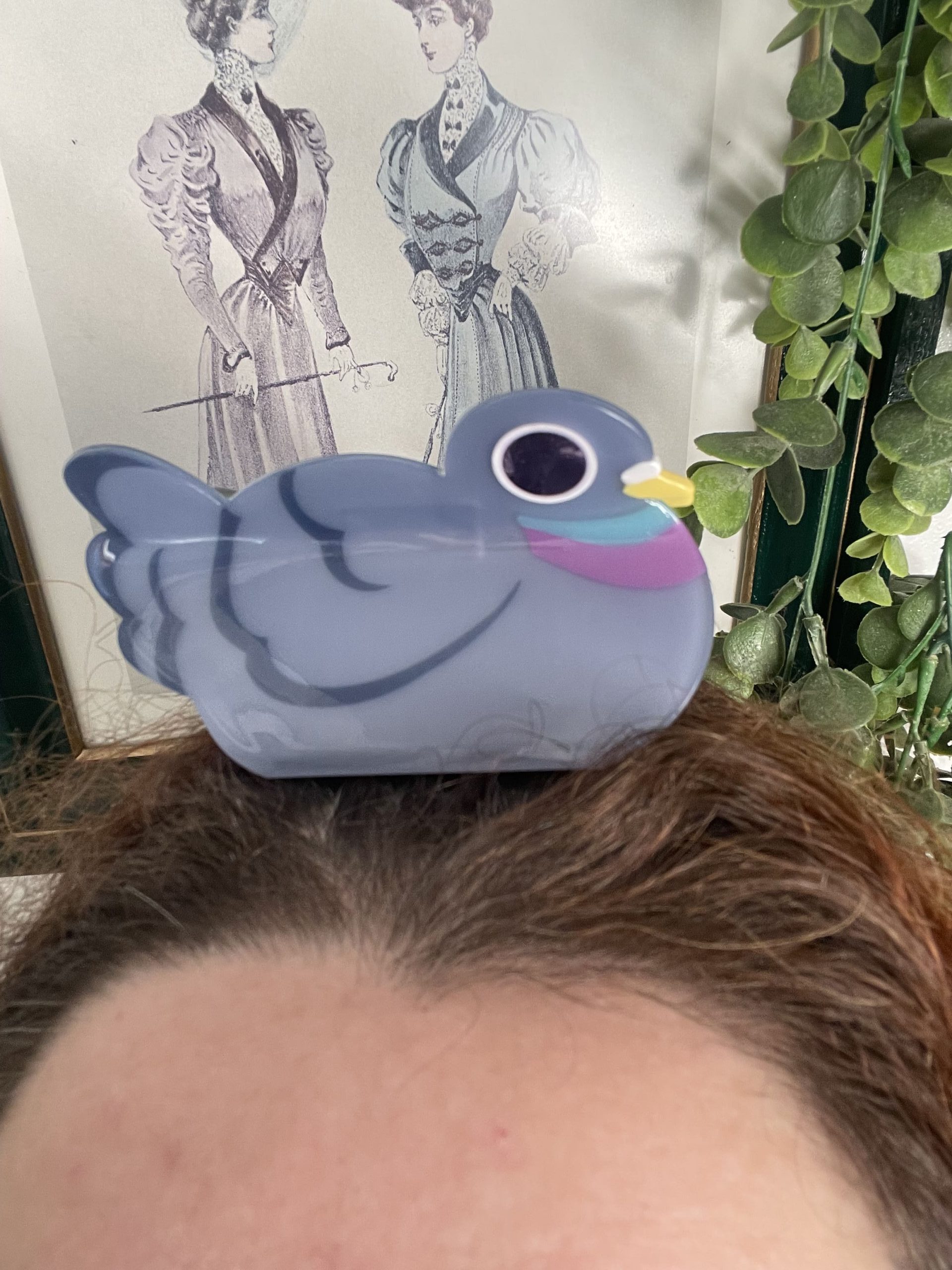 Pigeon