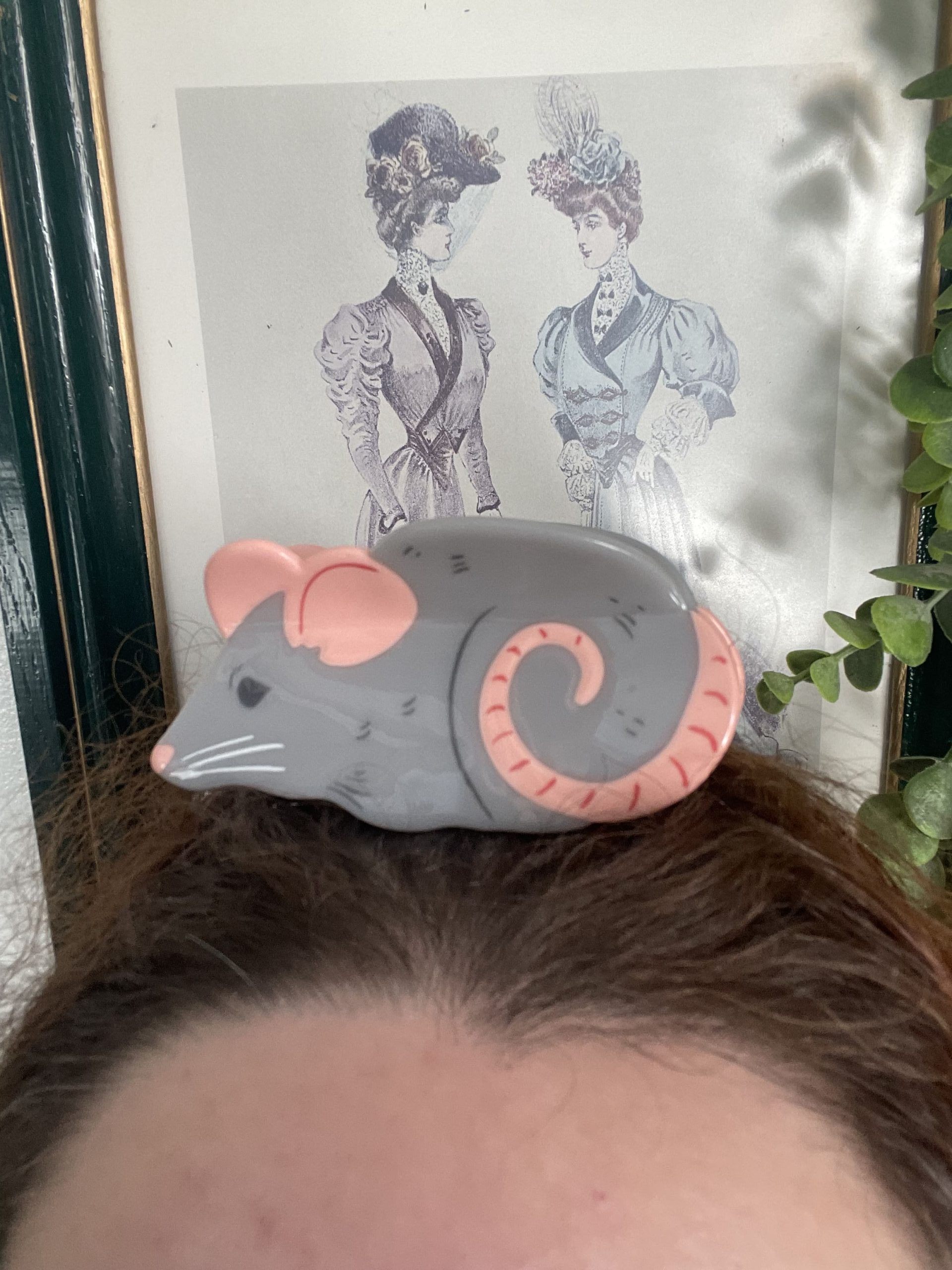 Rat