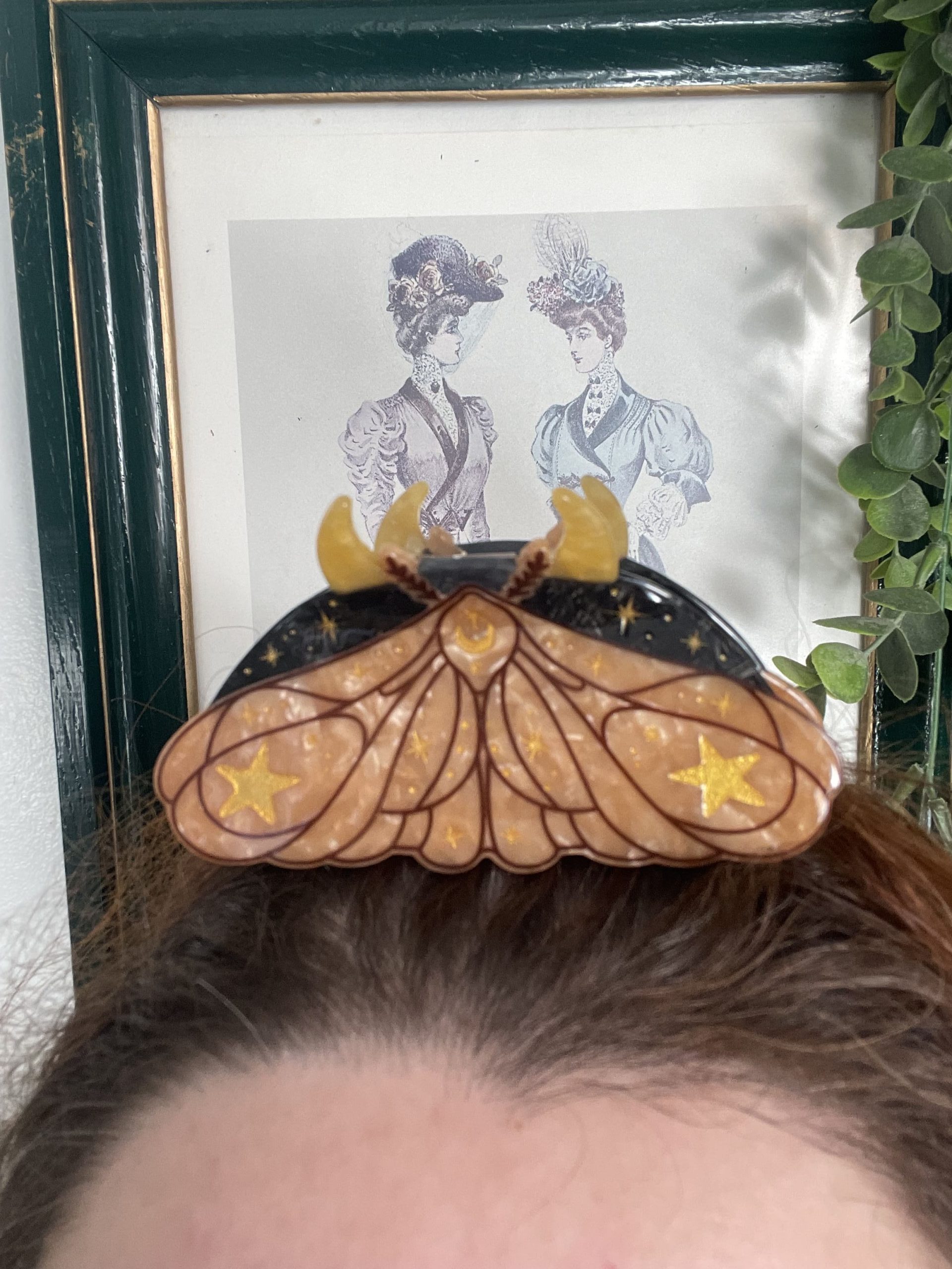 Moth
