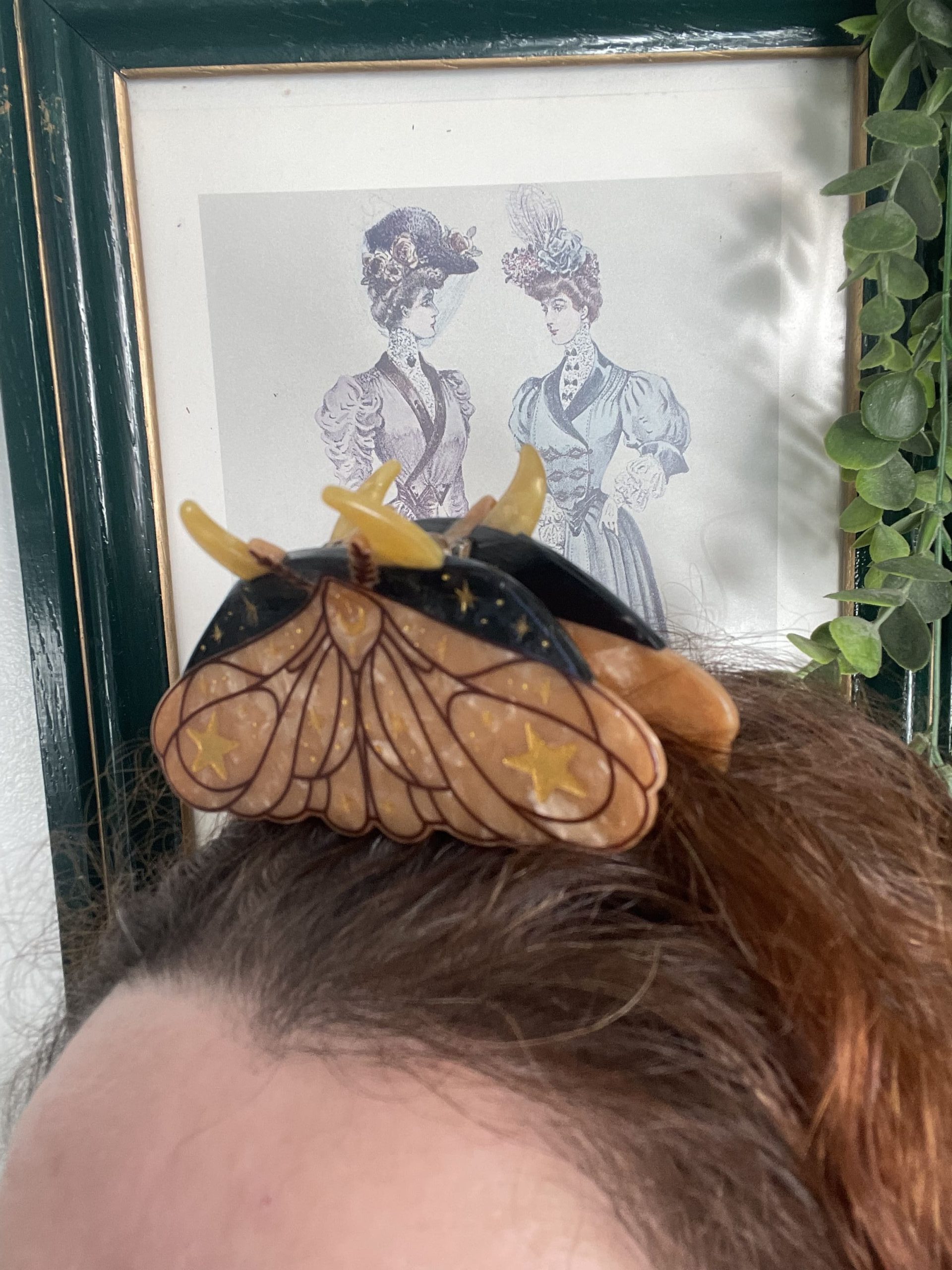 Moth – Image 3