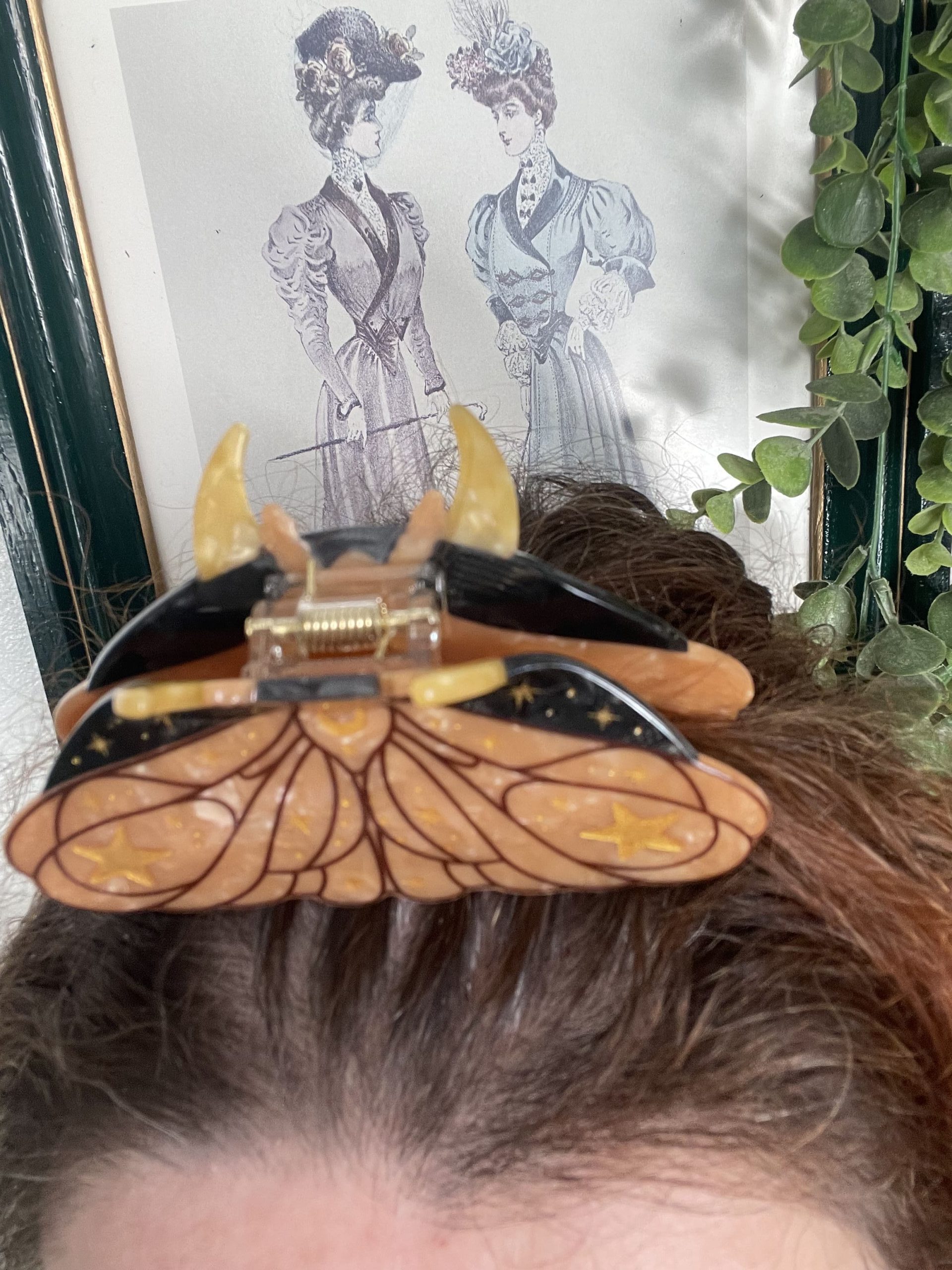 Moth – Image 2