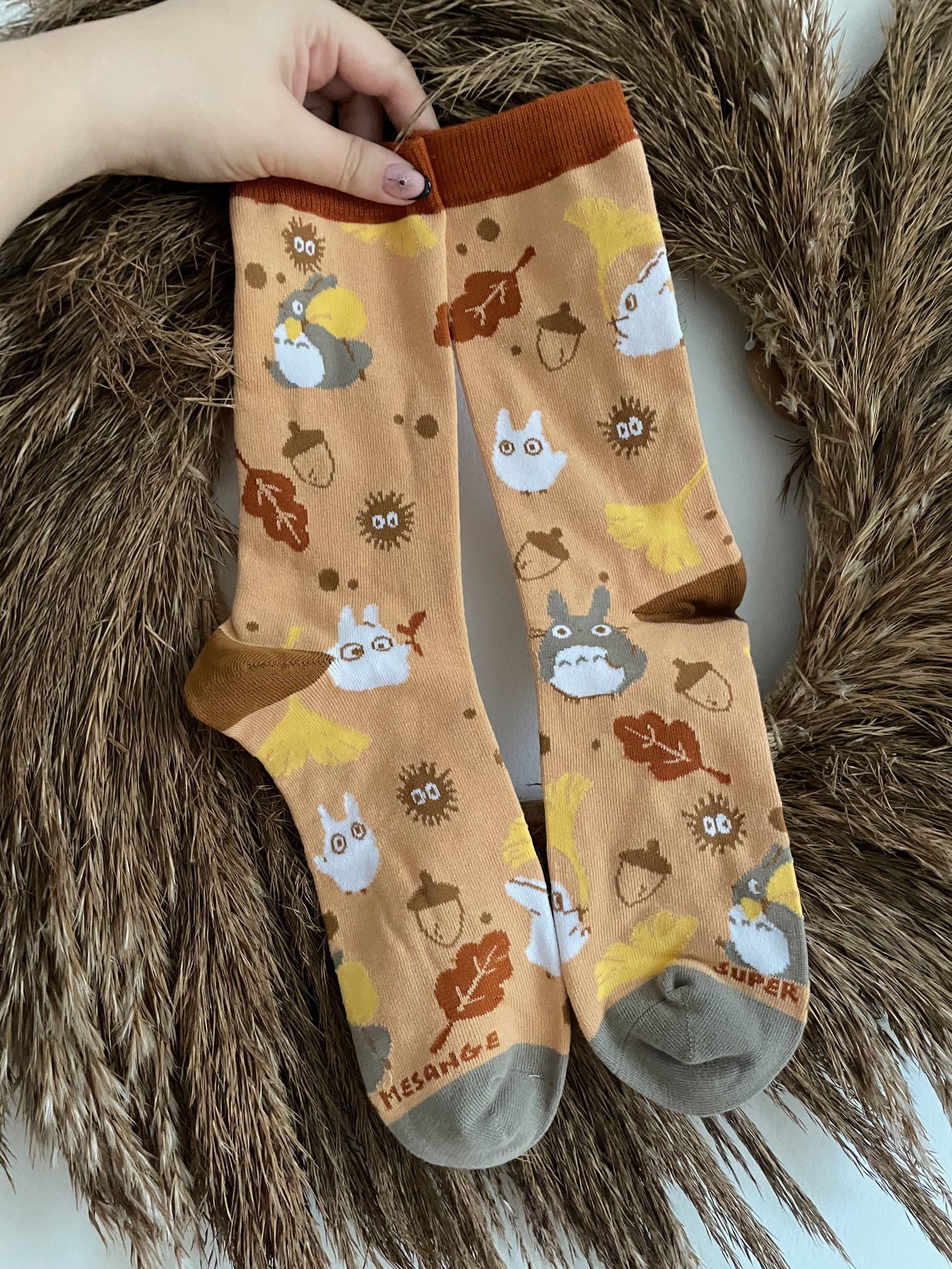 Totoro