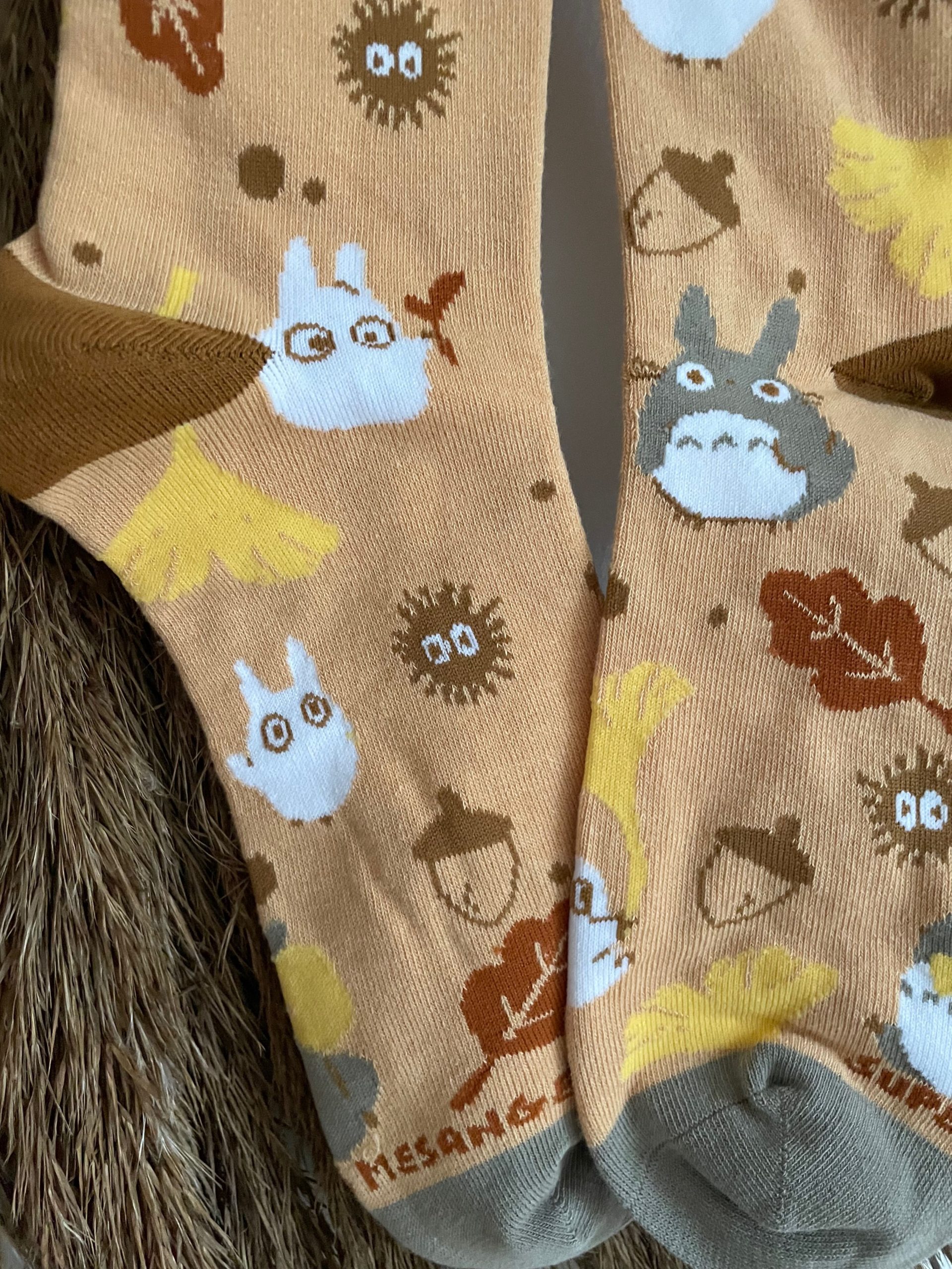 Totoro – Image 3