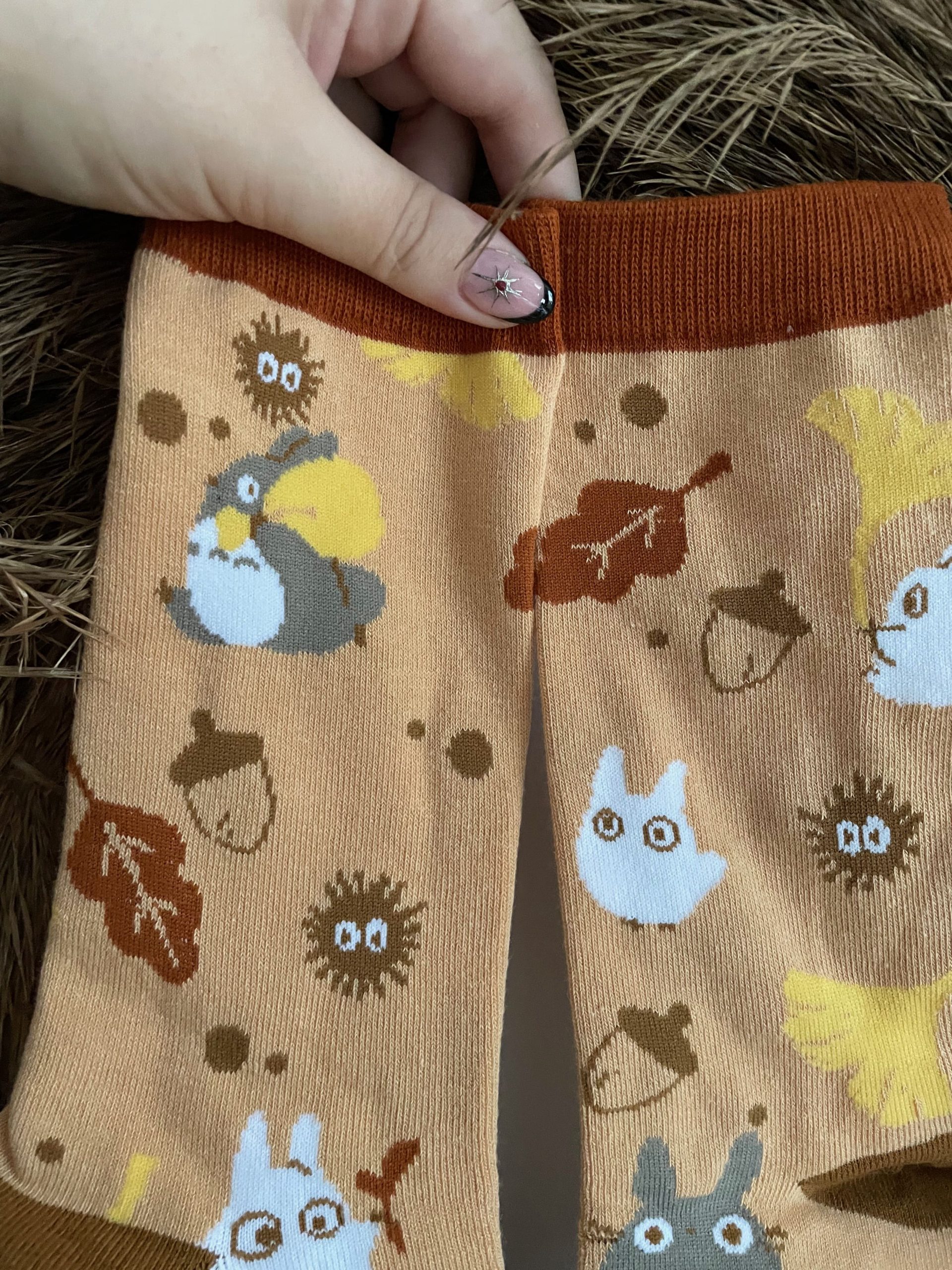 Totoro – Image 2