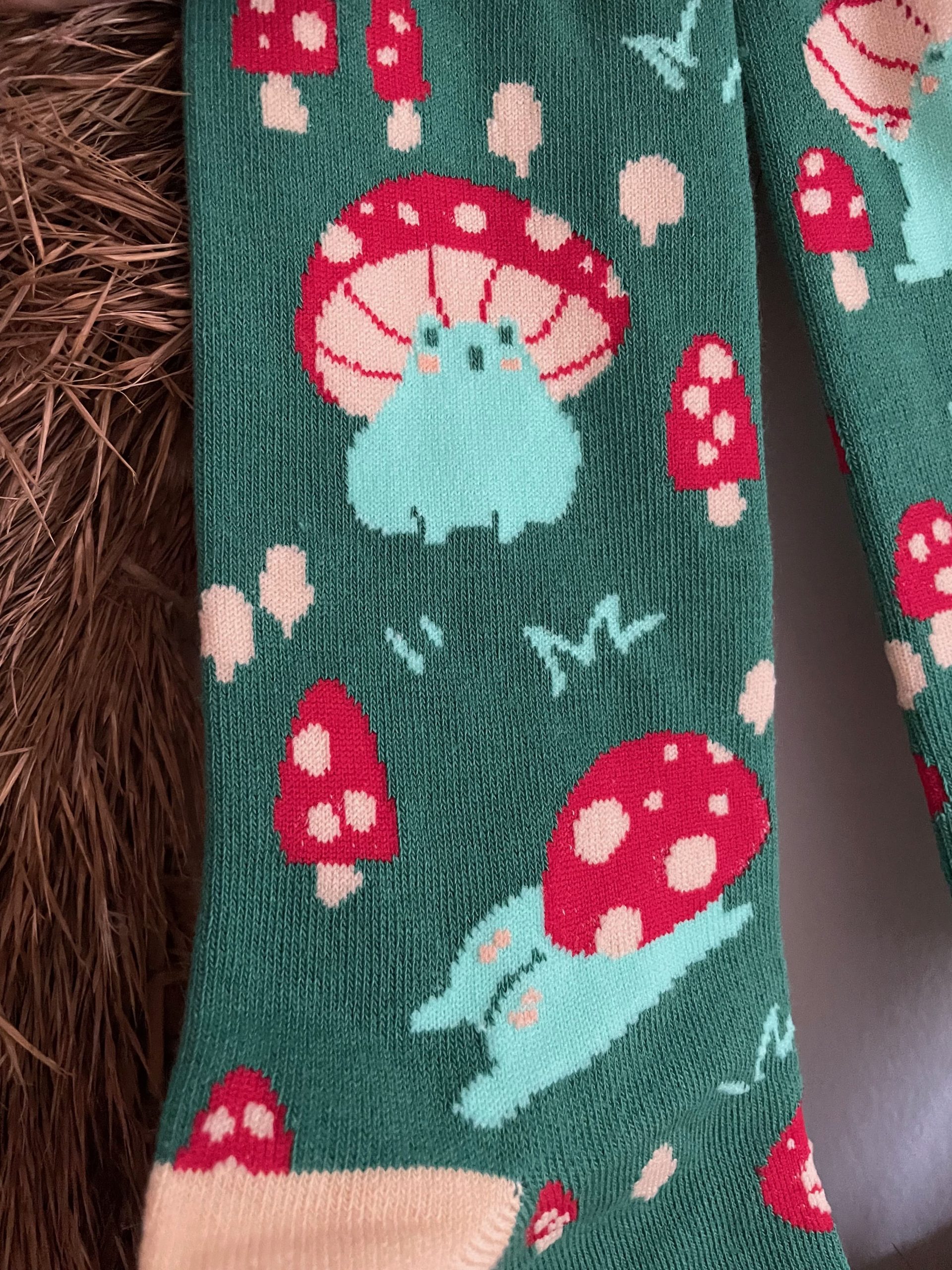 Mushroom Frog – Image 2